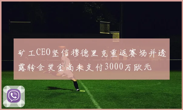 矿工CEO坚信穆德里克重返赛场并透露转会奖金尚未支付3000万欧元
