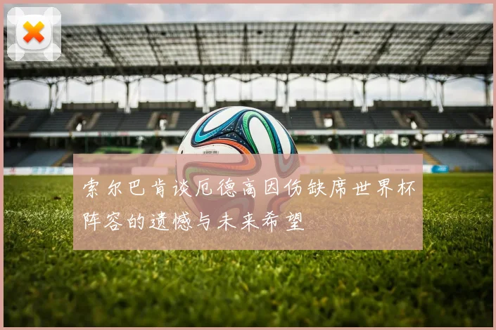 索尔巴肯谈厄德高因伤缺席世界杯阵容的遗憾与未来希望