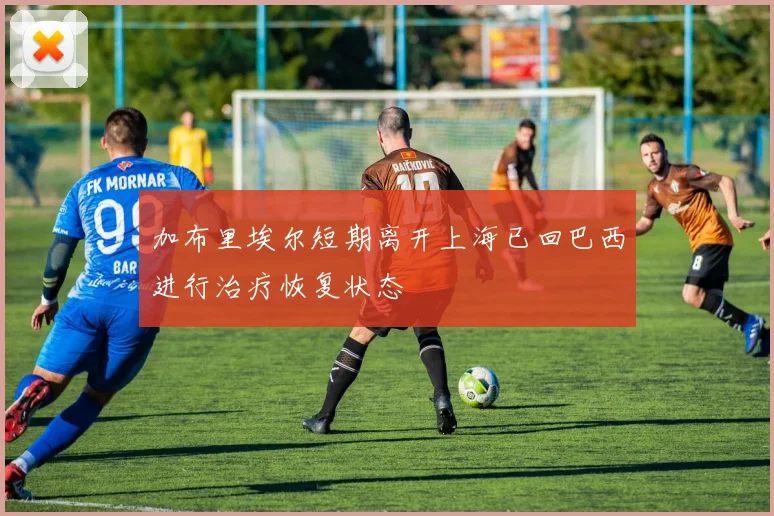加布里埃尔短期离开上海已回巴西进行治疗恢复状态