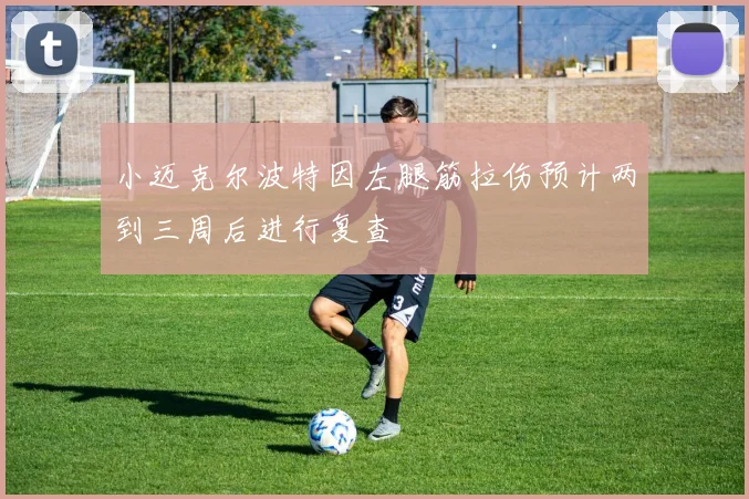 小迈克尔波特因左腿筋拉伤预计两到三周后进行复查